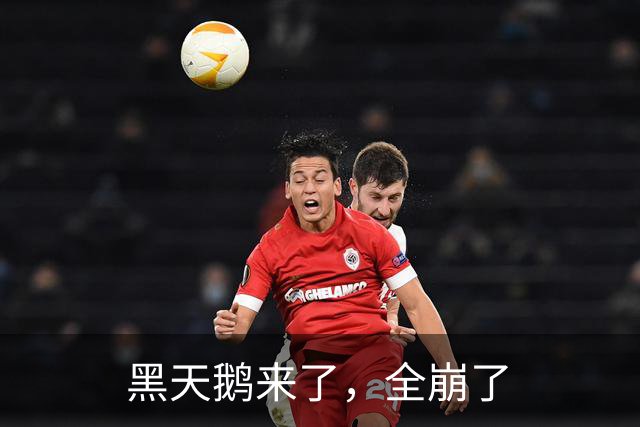 黑天鹅来了，全崩了